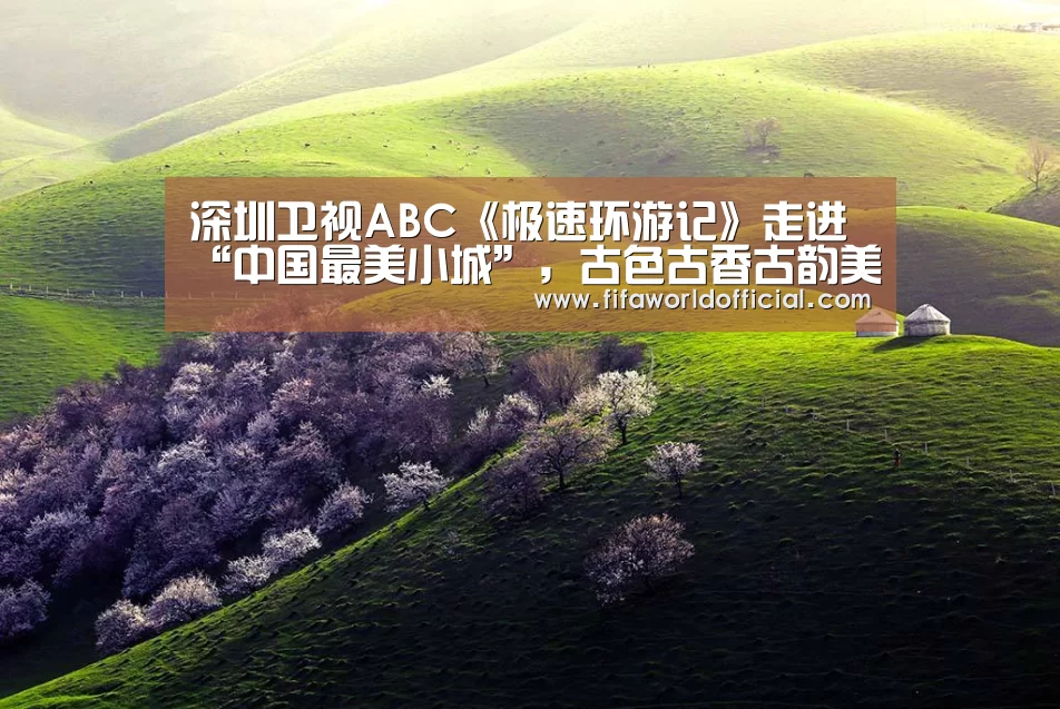2026世界杯专题