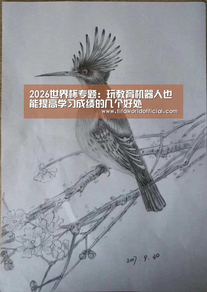 2026世界杯专题:玩教育机器人也能提高学习成绩的几个好处(图2) FYT体育
